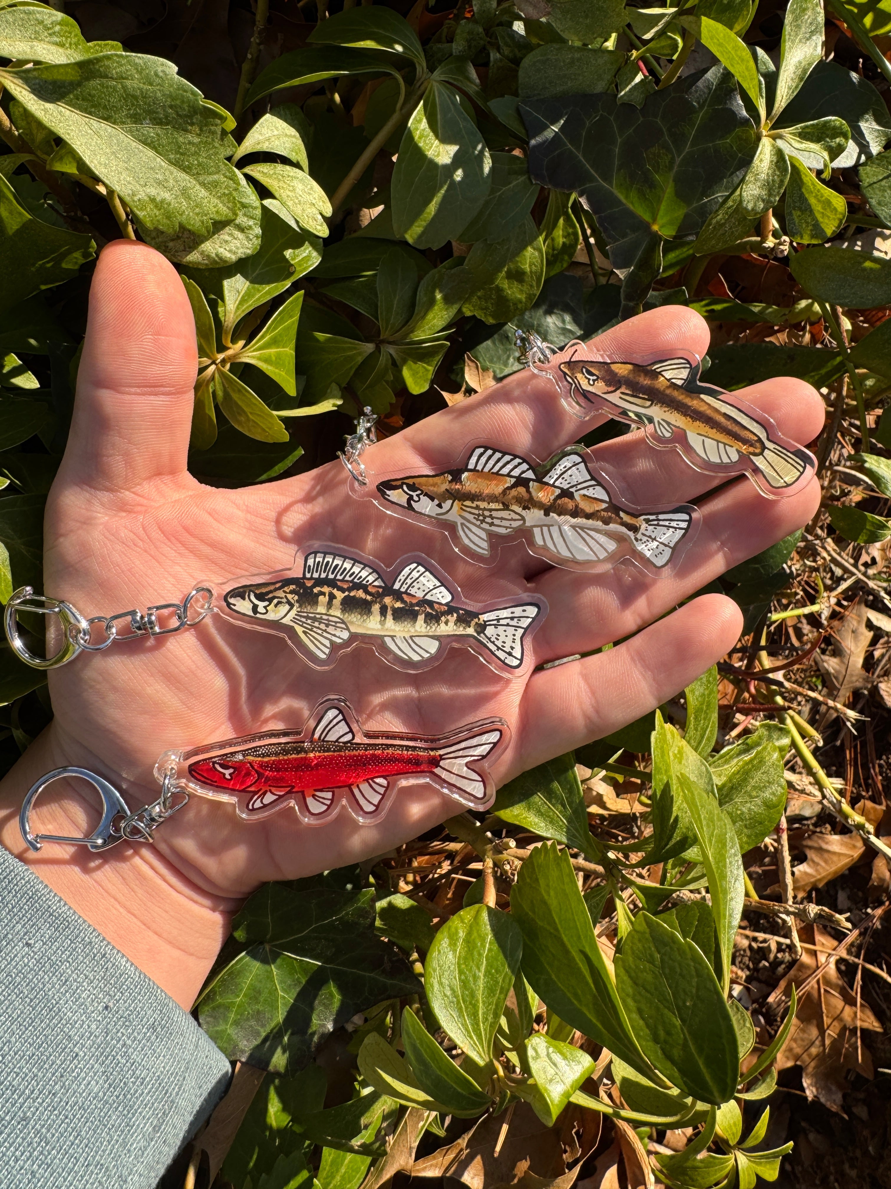 Native Fish Merch