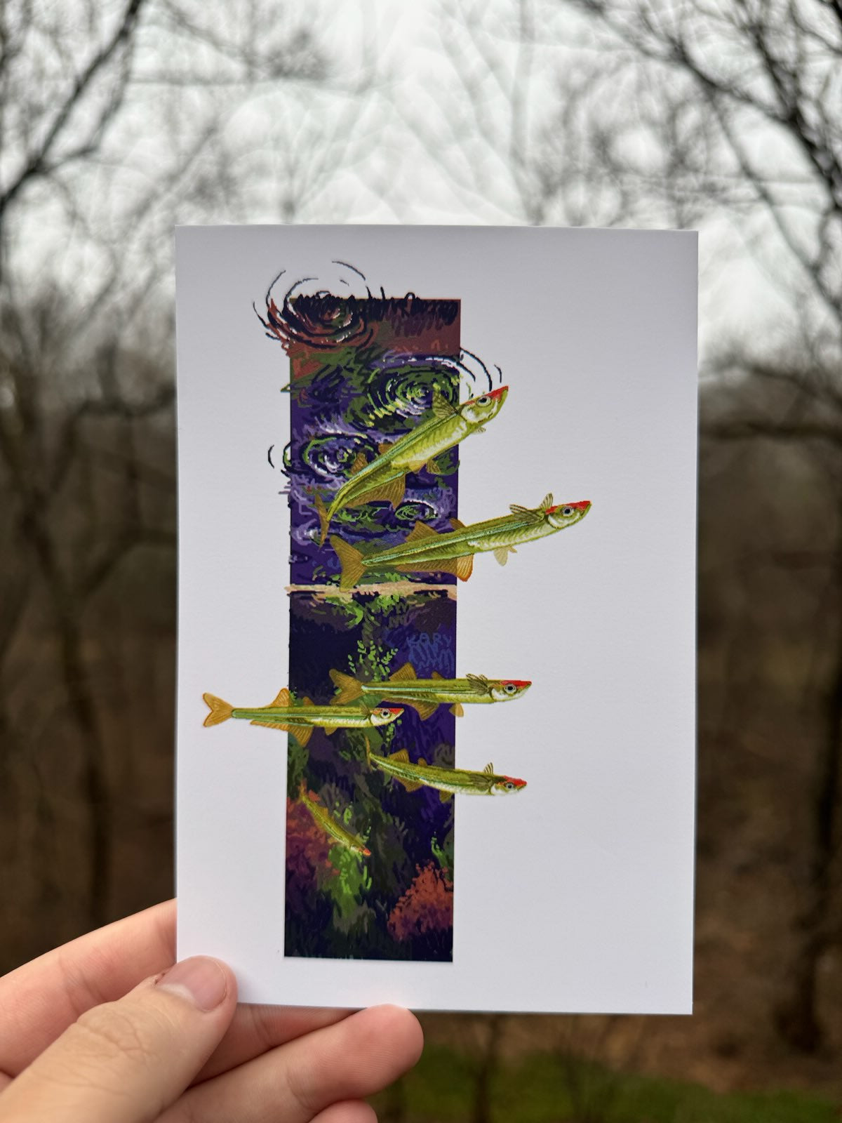 Silverside - Florida Springs Print