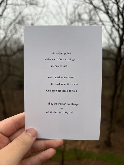 Silverside - Florida Springs Print