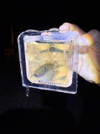 Microfishing Photo Tank