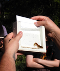 PRE-ORDER* Glass Photo Tank w/ White Insert