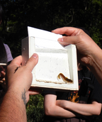 PRE-ORDER* Glass Photo Tank w/ White Insert