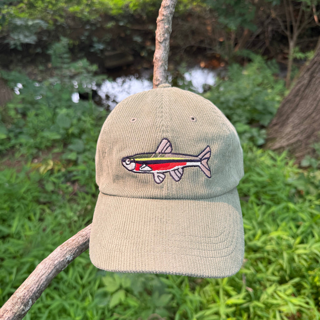 A light khaki corduroy baseball cap featuring an embroidered rainbow trout on the front, hanging from a tree branch in a lush green outdoor setting.