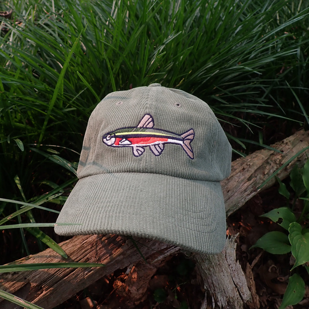 A light olive green corduroy baseball cap with a colorful embroidered fish patch on the front, resting on a fallen log surrounded by green grass and forest floor foliage.
