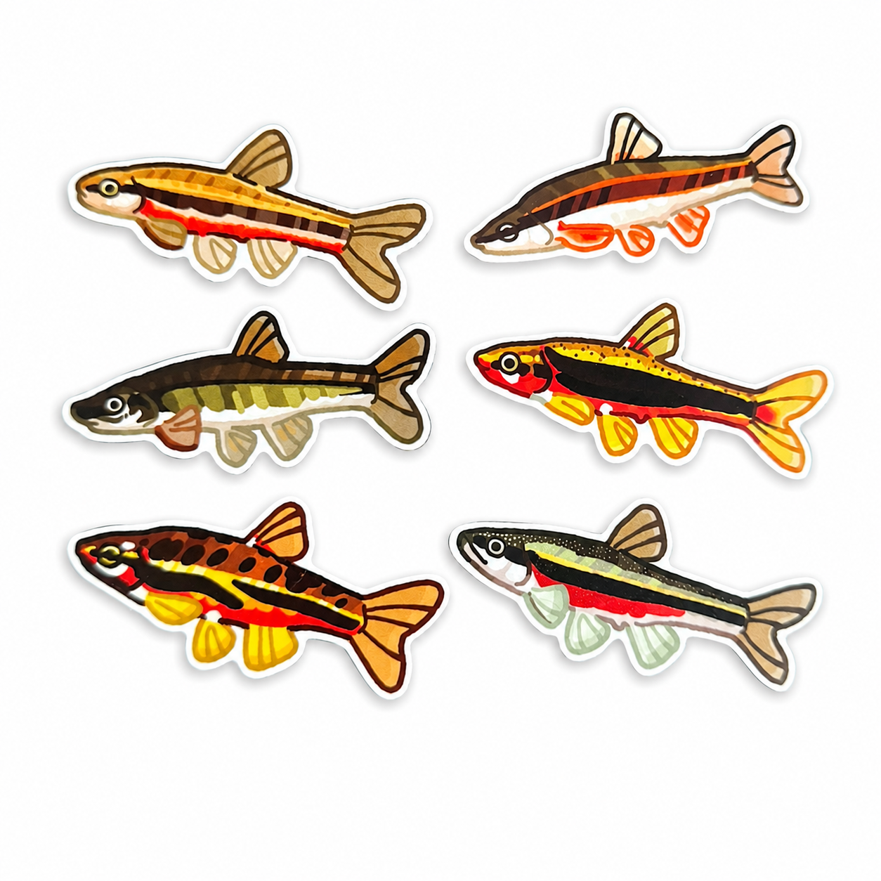 Dace of North America Sticker Pack